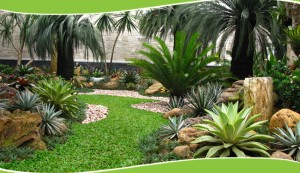 Read more about the article Landscape dan Konsep Desain Taman Minimalis