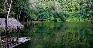 Read more about the article Segenggam Garam, Segelas Air dan Sebentang Telaga