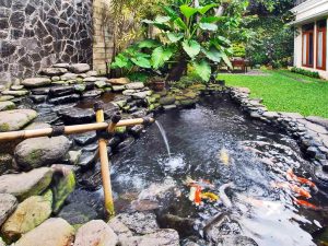 Read more about the article Cara Membuat Kolam Ikan Koi Yang Murah Dan Sederhana
