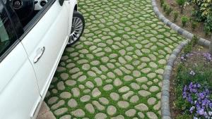 Paving Grass Block - Jasa Bangun Rumah Jogja - Arkamaya Arsitek Kontraktor Jogja - Rumah Kos Villa Hotel YOGYAKARTA 04